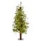 4ft. Pre-Lit Wyoming Alpine & Pinecone Artificial Christmas Tree, Clear LED Lights